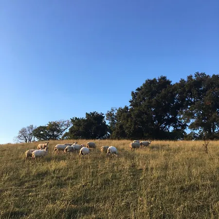 Haixpia, Le アパート