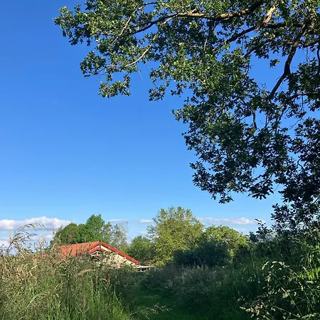 Haixpia, Le * アスパレン