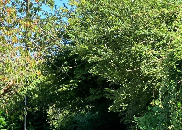 Apartman Haixpia, Le