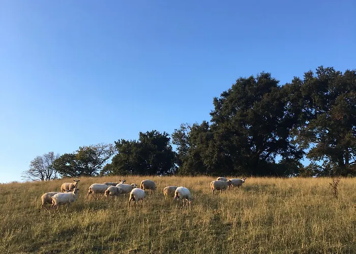 Haixpia, Le Apartman